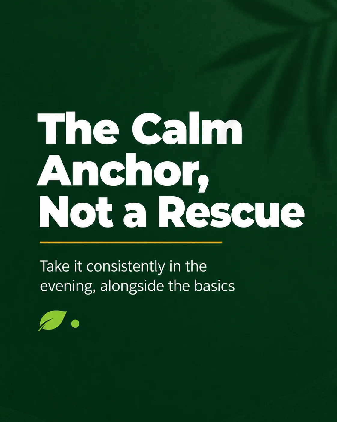 Card describing reishi as the calm anchor of an evening routine, not a rescue remedy