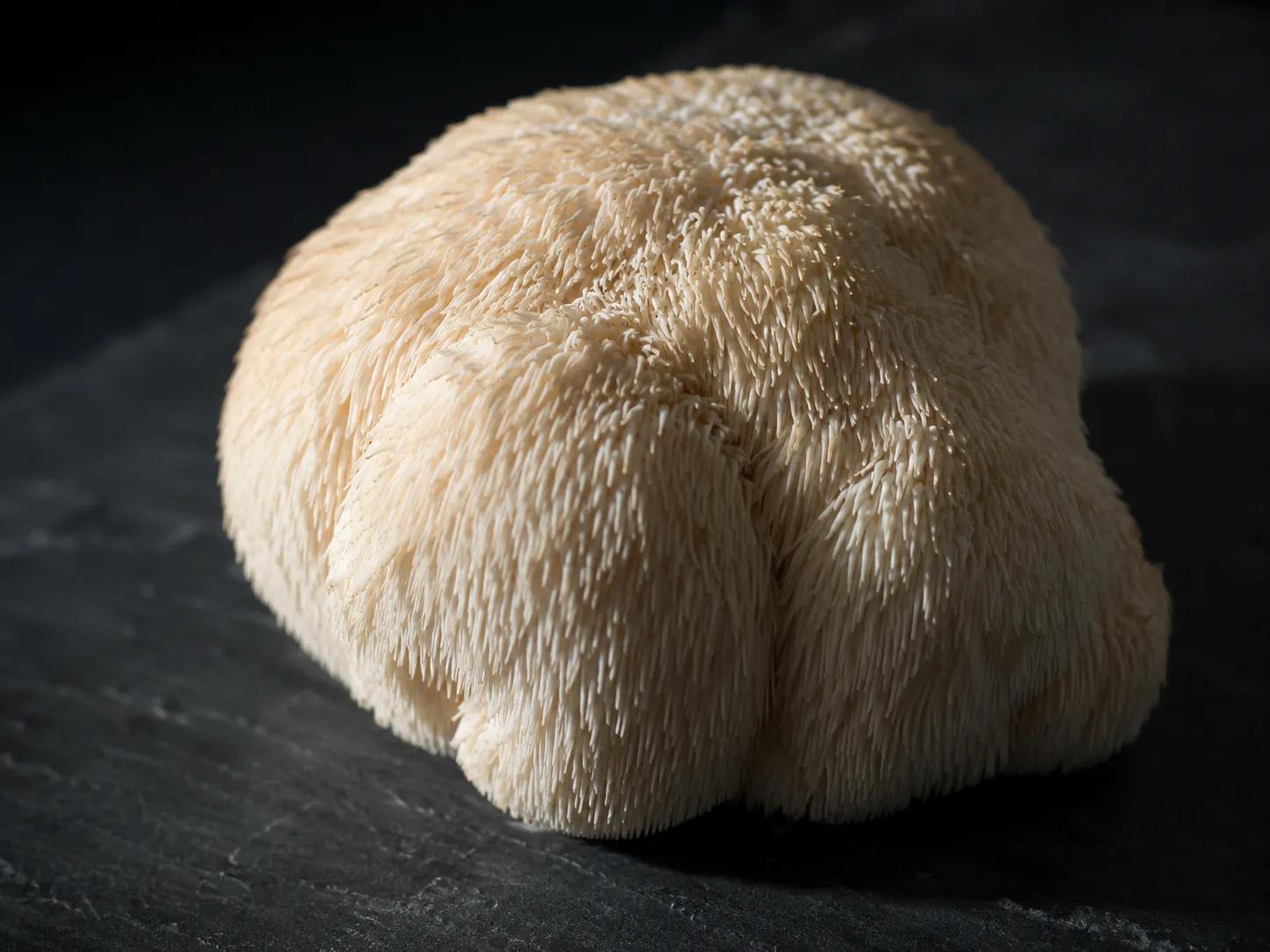 lion's mane mushroom close-up